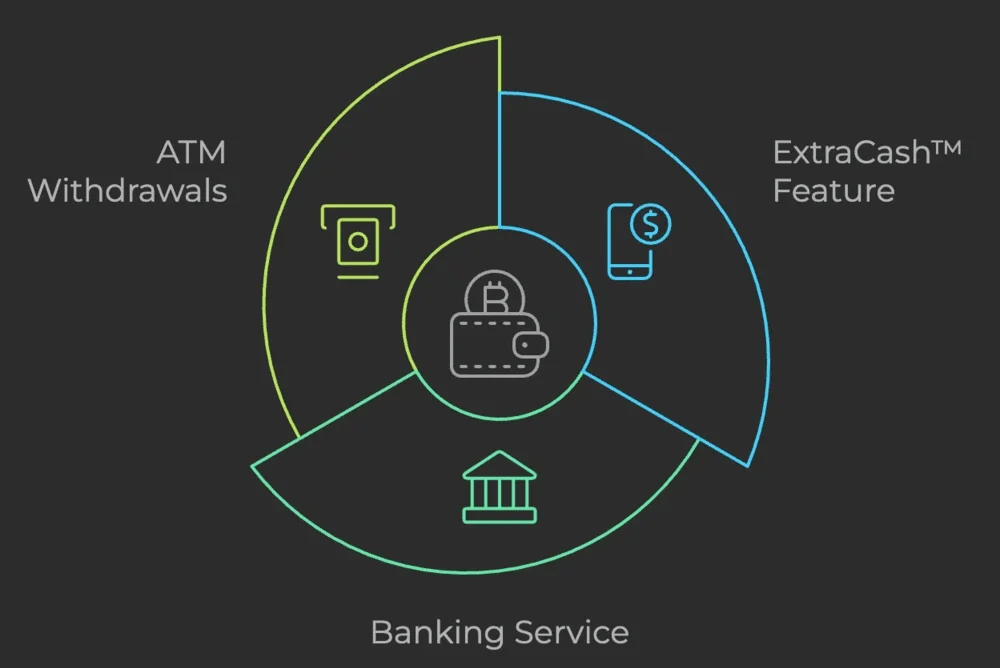 Overview of dave's features